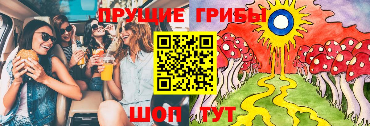 Псилоцибиновые грибы мицелий Железноводск